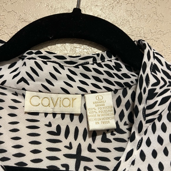 Vintage Caviar Blouse - Picture 2 of 3